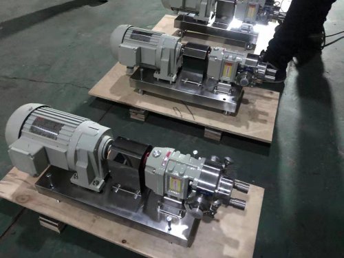 廣東保溫不鏽(xiu)鋼轉子泵