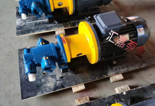 江蘇磁力齒(chi)輪泵