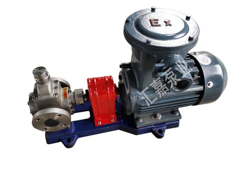 廣東(dōng)防爆不鏽鋼圓(yuán)弧齒輪泵