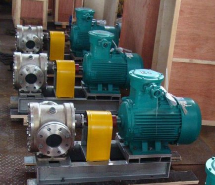 廣東(dong)YCBG不鏽鋼圓弧保(bao)溫齒輪泵